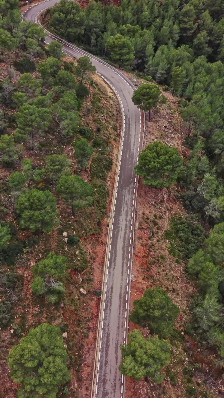 Strada tortuosa attraverso alberi verdi nella campagna spagnola