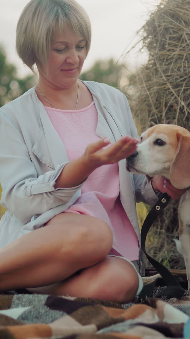 여성은 개에게 맛있는 음식을 먹여주며, 다른 사람들과 함께 개 위에 앉아있는 동안, 골든 아워 동안 풀에 둘러싸여, 아이들이 지켜보는 편안한 야외 가족 순간