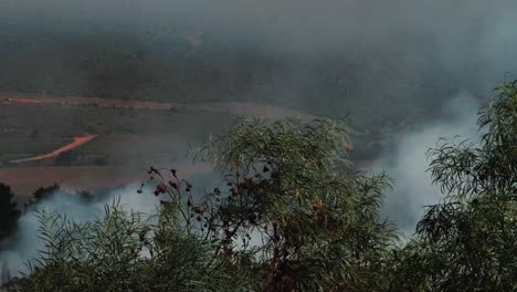 smoke emits from the landscape in the foreground a port jackson blows.it truly is fire season
