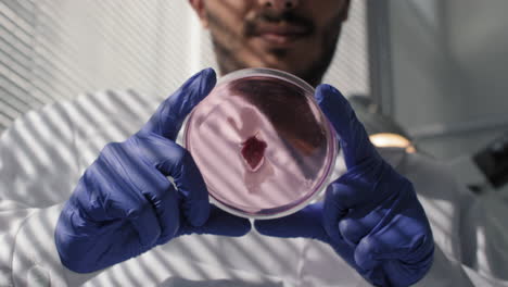 scientist examining a petri dish in a laboratory setting
