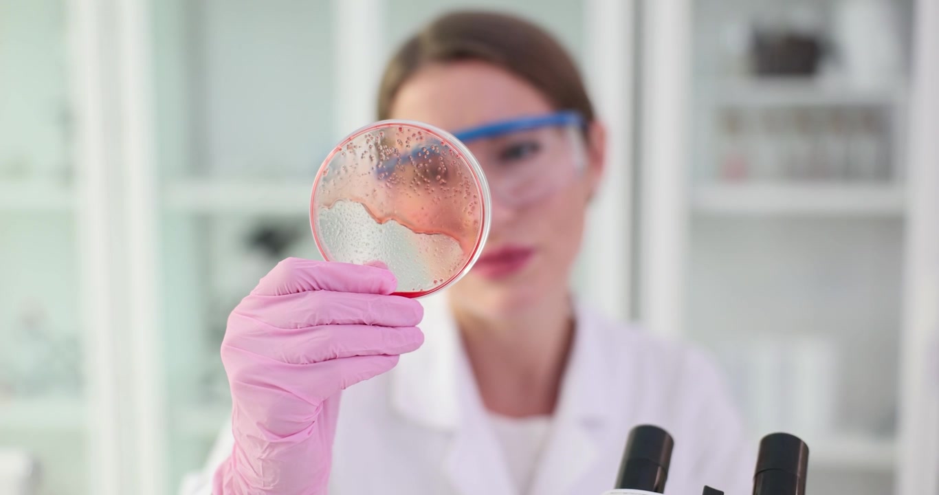 Woman researcher handles bacterial culture in petri dish