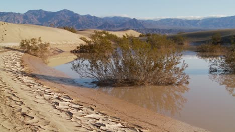 an oasis in death valley national park offers a refuge from the heat