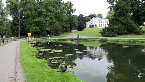 walking in the park in arnhem