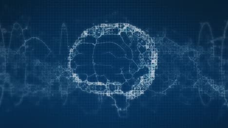 animación del cerebro humano y la cadena de adn girando sobre un fondo azul.