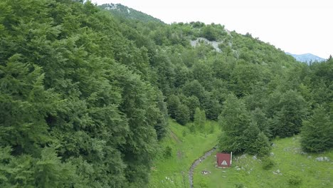 Borov-Kamak,-Vratsa,-Bulgaria,-creek-in-the-forest