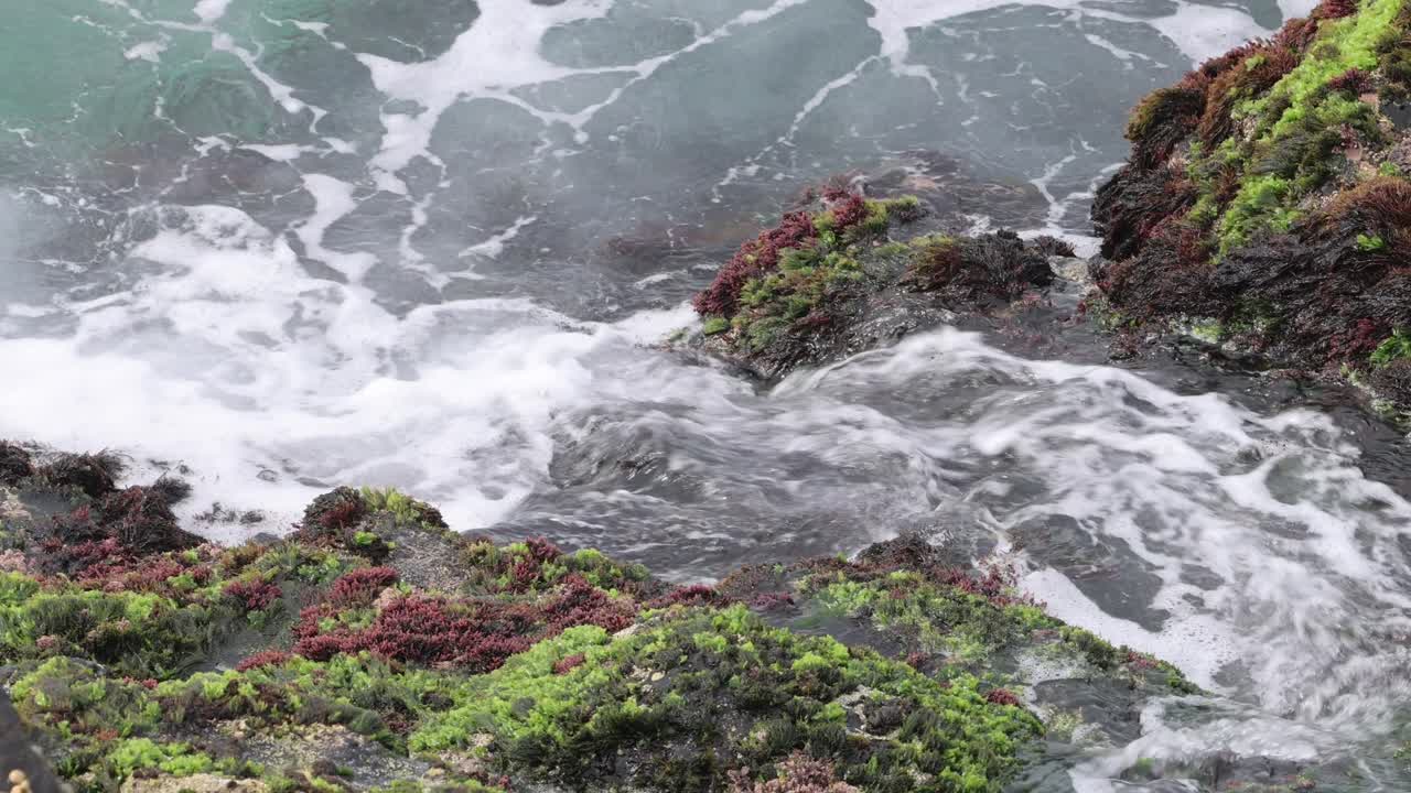 las olas interactúan con las rocas, creando espuma y pulverización