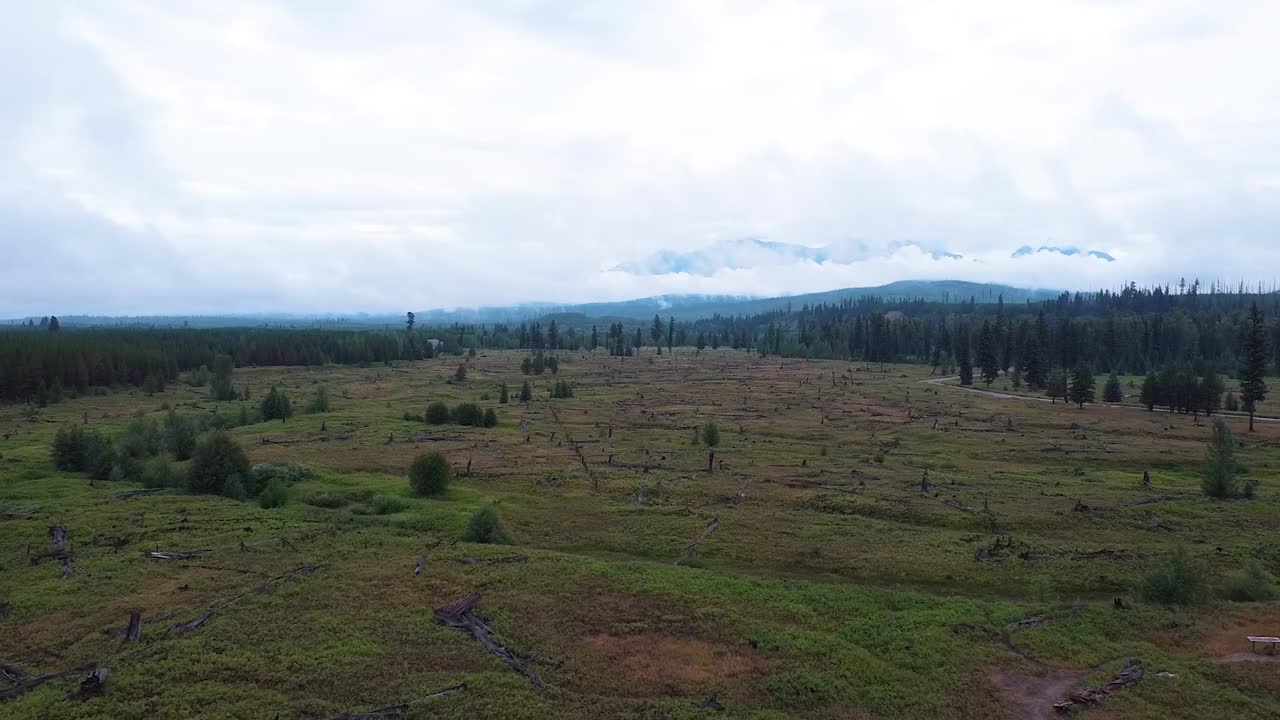 Polebridge Wilderness - Glacier NP - Drone