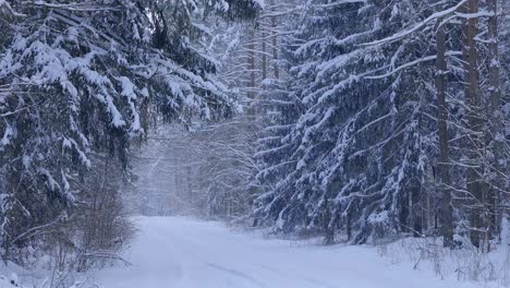 Der-Fallende-Schnee-Bedeckt-Langsam-Die-Autospuren-Auf-Der-Forststraße