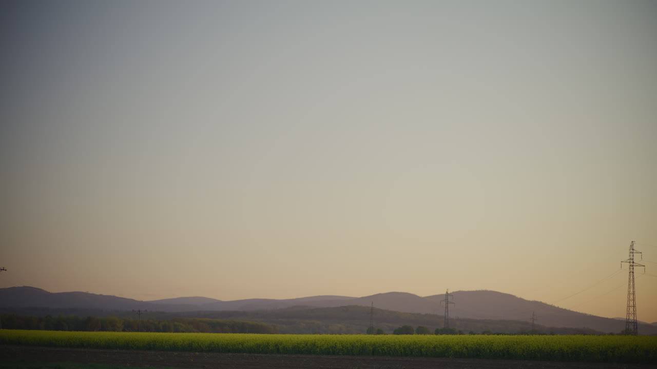 Sunset Over Rural Yellow Rapeseed Field