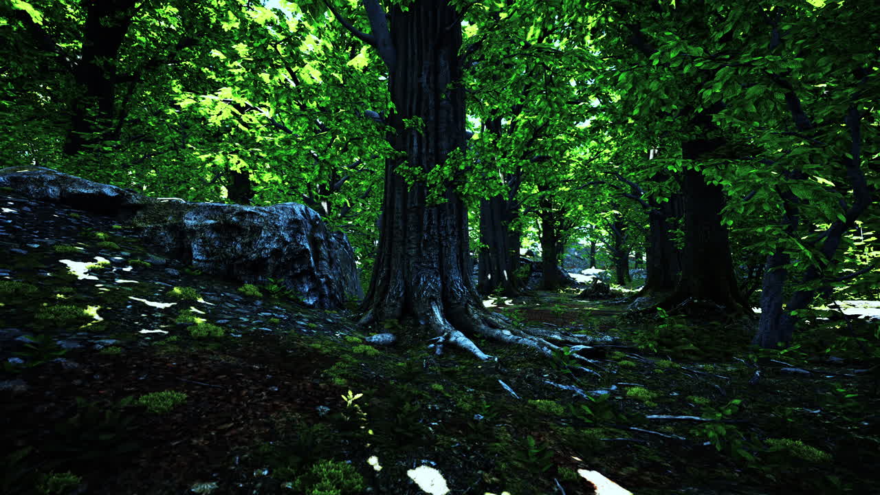 vista detallada de cerca de una textura de suelo forestal con musgo