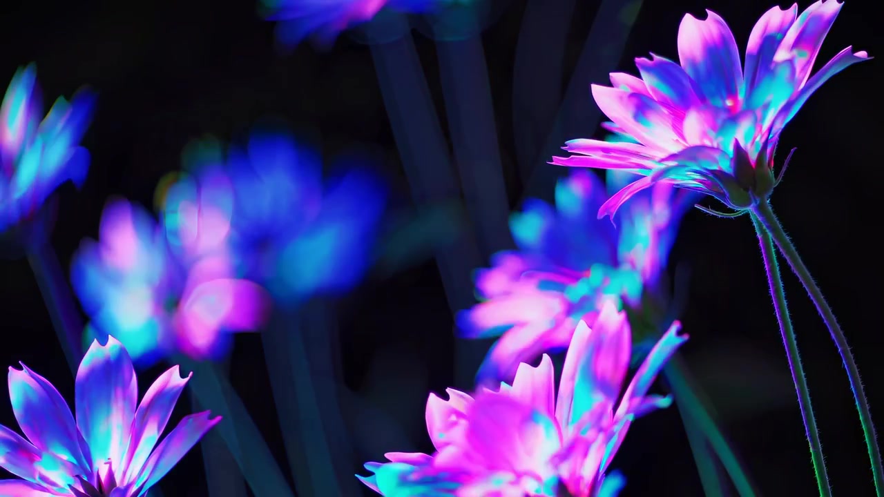 Levande neonblommor med skiftande färger på en mörk bakgrund