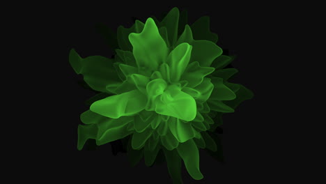 A-Green-Flower-With-Black-Background