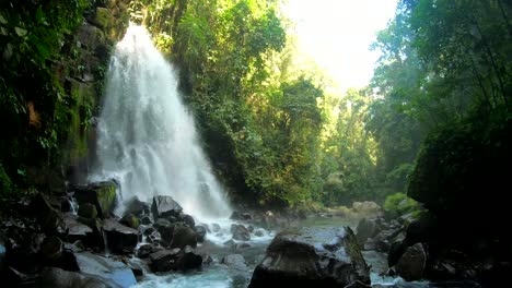 Natigbasan-Fällt-In-Zeder-Impasugong-Bukidnon-Philippinen