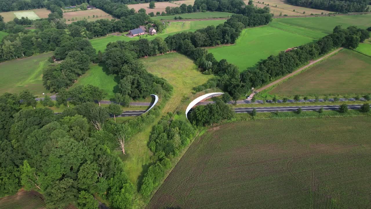 Road traversed by wildlife crossing forming a safe natural corridor bridge for animals to migrate between conservancy areas. Environment nature reserve infrastructure eco passage.