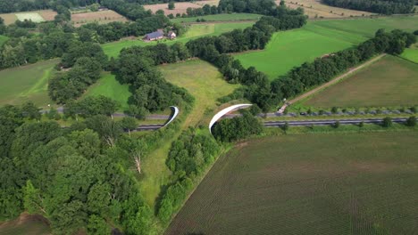 road traversed by wildlife crossing forming a safe natural corridor bridge for animals to migrate between conservancy areas. environment nature reserve infrastructure eco passage.