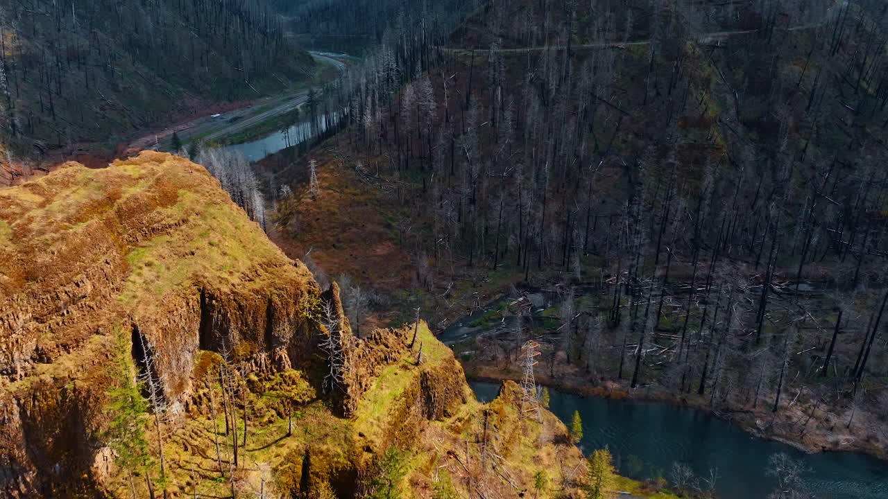 Flying over the brown bare rocks towering over the narrow river. Dead pine trees are covering the mountains.