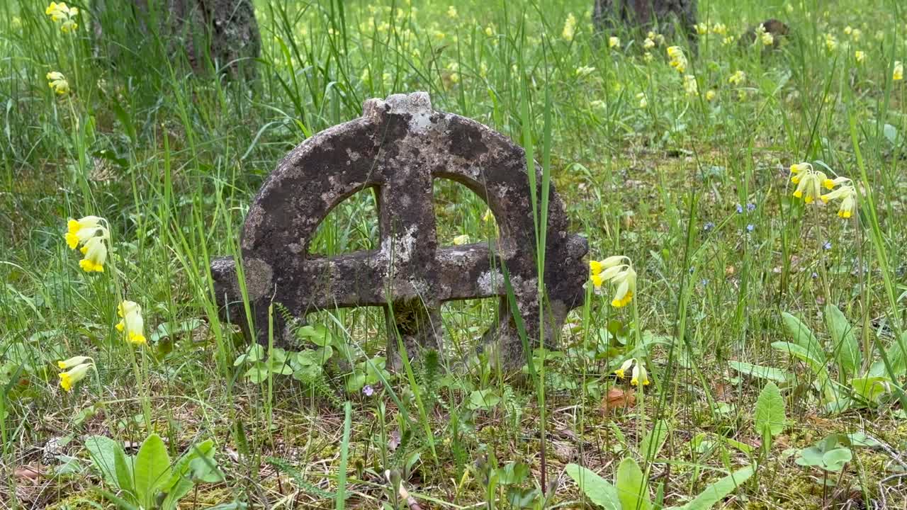 Sun cross, also known as solar cross, ring cross or wheel cross, in Vormsi cemetery. Estonia.