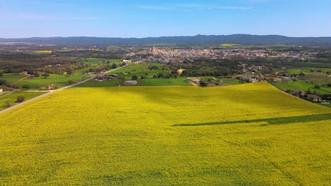 Imagenes-Aereas-Con-Drone-De-Un-Campo-De-Colza-En-Llagostera-Gerona-Costa-Brava-España-Tomas-Cenitales-Movimientos-Fluidos-Cultivos-Europeos-Paseos-En-Bicicleta