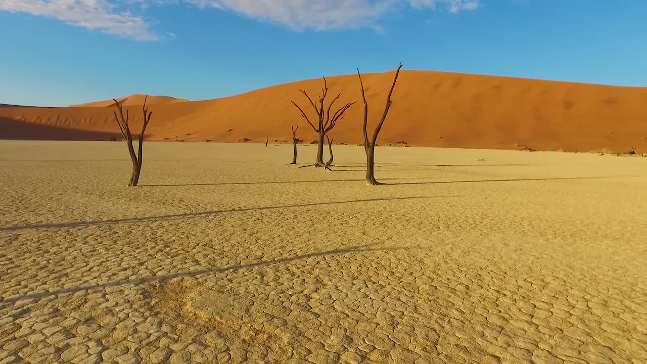 나미비아 아프리카의 sossusvlei 죽은 나무와 모래 언덕을 통해 이동 샷