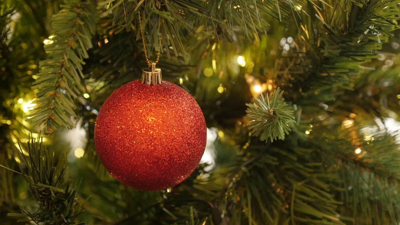 блестящая кукла на дереве брах крупный план 4к