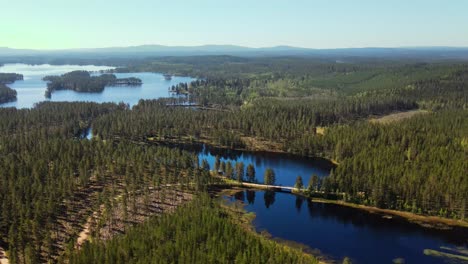 lago tranquilo con exuberante vegetación en busjon, dalarna, suecia - toma aérea