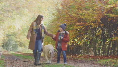 mother and son take pet golden retriever dog for walk on track in autumn countryside holding hands