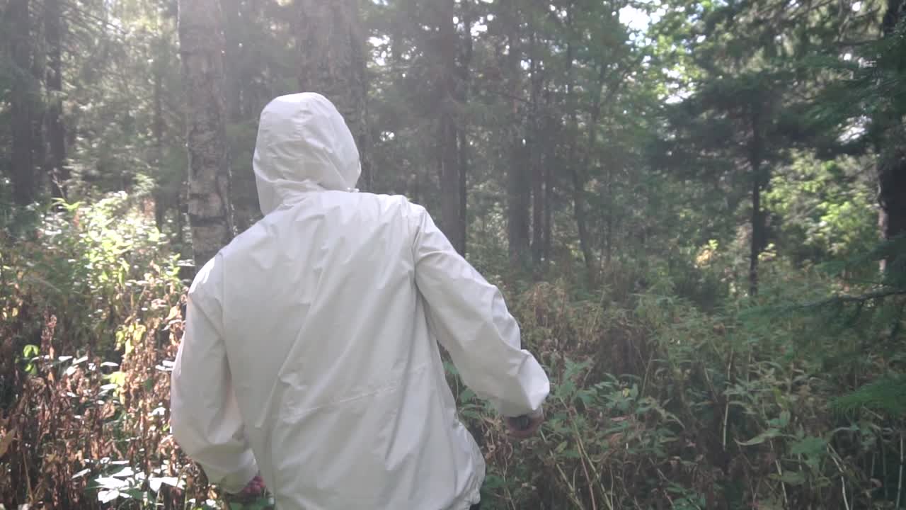 persona haciendo senderismo en un bosque