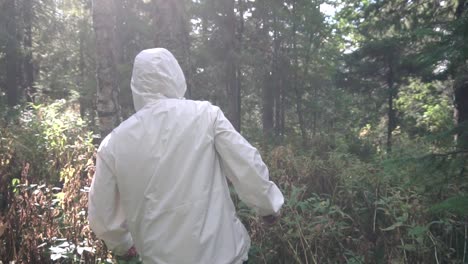 person hiking in a forest