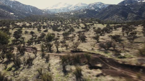 Tracking-shot-of-a-moutain-biker-in-a-bike-park,-uhd-4k-aerial