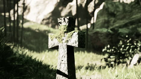 old-graveyard-in-bamboo-jungle-grove