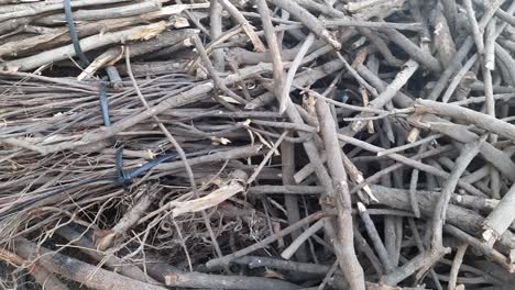 a close-up of a bunch of firewood is covered by a web. moving the focus