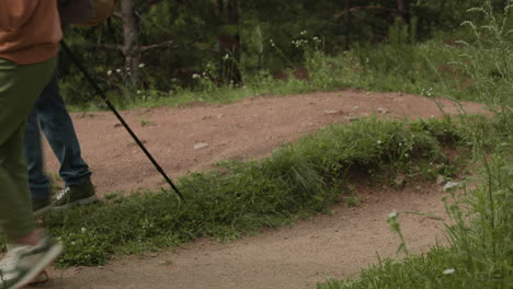 people hiking on a forest trail