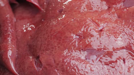close-up of raw liver