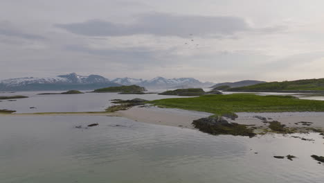 tranquila vista aérea de la isla verde, gaviotas anidando en el norte de noruega