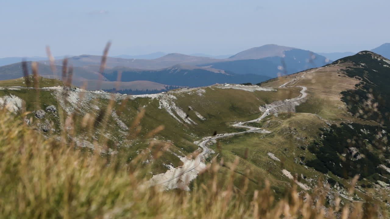 Vista in allontanamento della strada di montagna Transalpina con cespugli in primo piano, giornata estiva