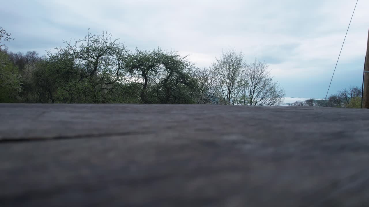 바스카 비스트리카 하위 타트라 산맥 숲, 슬로바키아