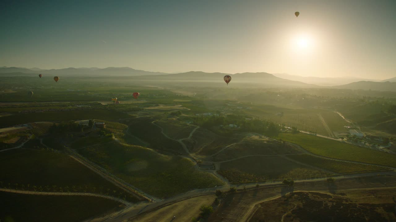 globos aerostáticos vuelan sobre un viñedo en temecula california