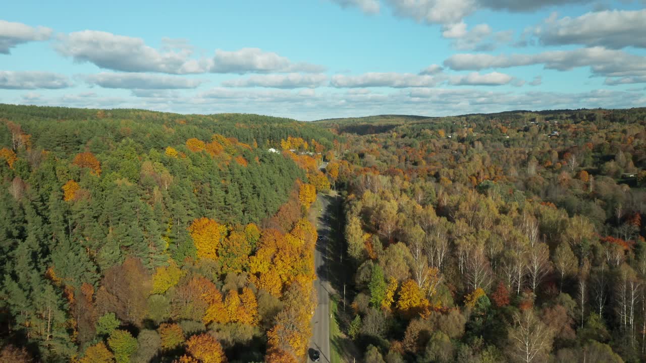 Aerial View of Autumn Forest with Road
