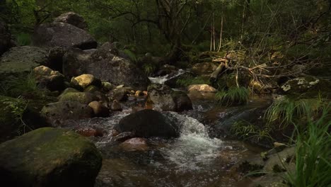 sunrise and sunset in peaceful cricket in gerês forest during summer, portugal