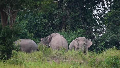 Four-individuals-together,-one-walks-away-to-the-left,-two-in-the-middle-facing-off,-one-on-the-right-annoyed