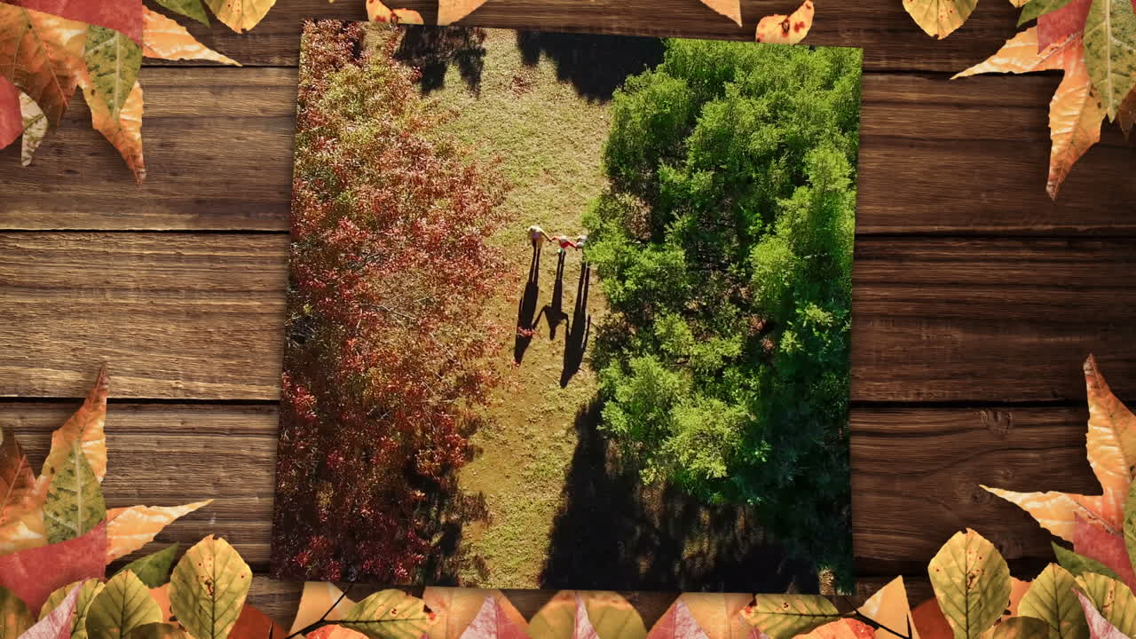 4k 테이블에 공원과 메이플 잎을  ⁇ 는 가족