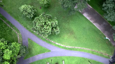 bird's eye view of a scenic park during daytime - aerial top down