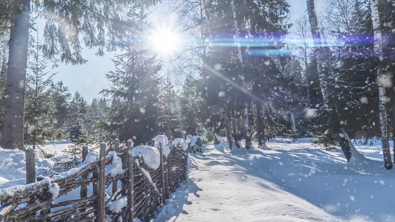 겨울의 눈이 내리는 장면, 시네마그래프, 숲 속의 아름다운 눈이 내린 장면, 비디오 루프, 크리스마스 겨울 컨셉
