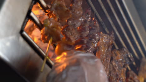 pork barbecue grilled over fire. handheld