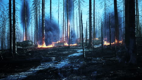 Forest-fire-with-Burned-trees-after-wildfire