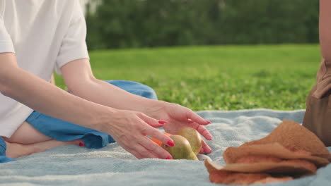 lower view of park goers seated on picnic blanket, one handing fruit to other while sandwich lies nearby, children running around on green grass, summer bonding moment of sharing