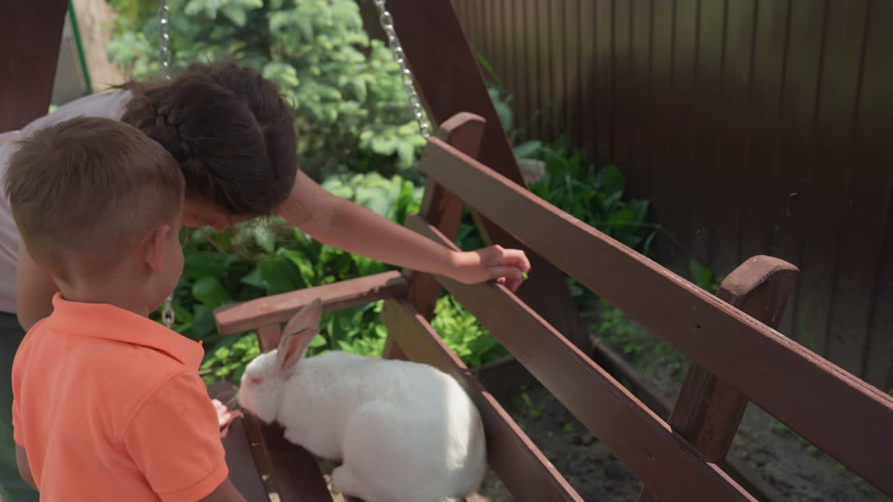 Young Children Softly Stroke White Rabbit Outside, Family Enjoys Quiet Moment With Bunny On Sunny Backyard Bench, Children Gently Interact With Pet Rabbit During Warm Outdoor Family Gathering