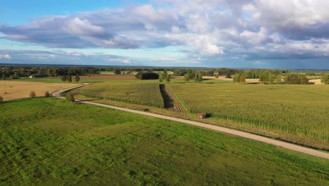 rising above green and gold latvian corn field with cut out section of cultivated crop, aerial backwards