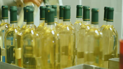 Trabajador-Retira-Botellas-De-Vino-Del-Transportador