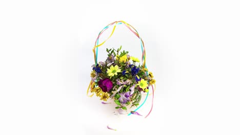 loop time lapse of bouquet of flowers in basket that is blooming and fading on the white background